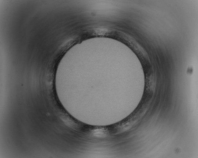 X0000102830505200809151043