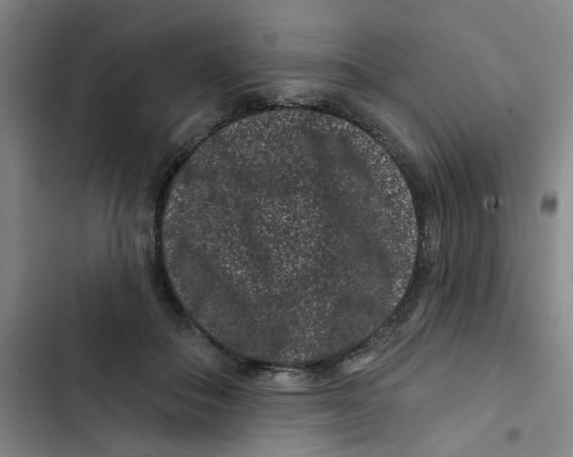 X0000102830506200809151043