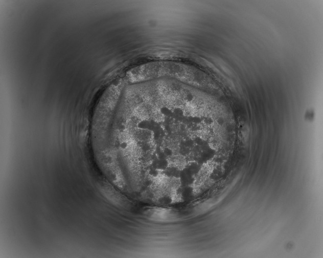 X0000102830507200809151043