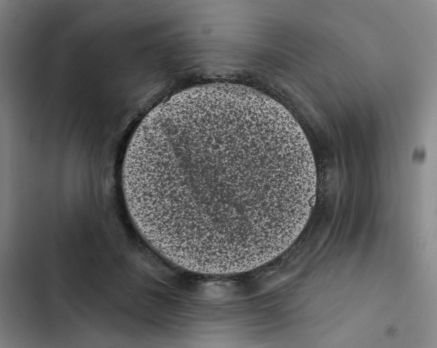X0000102830508200809151043