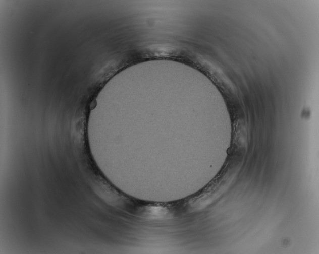 X0000102830509200809151043