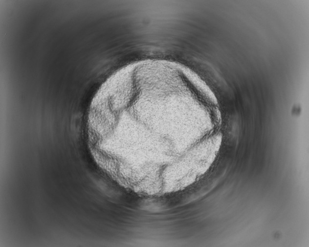 X0000102830511200809151043