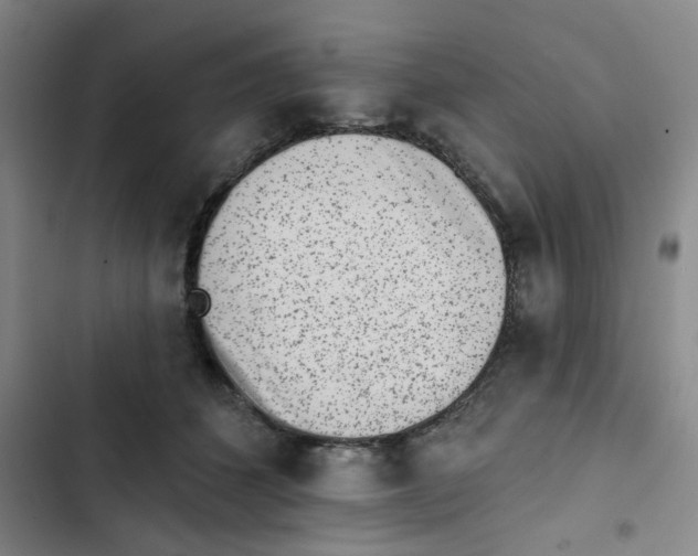 X0000102830512200809151043