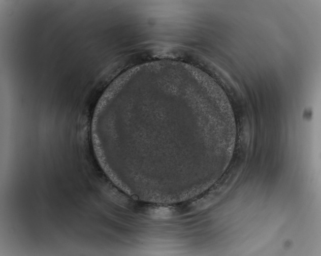 X0000102830513200809151043