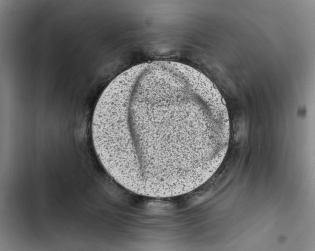X0000102830515200809151043