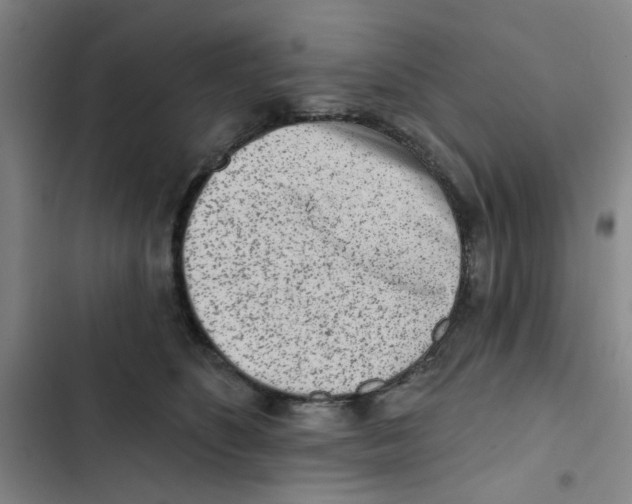 X0000102830516200809151043