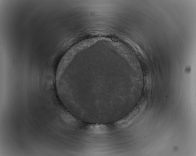 X0000102830517200809151043