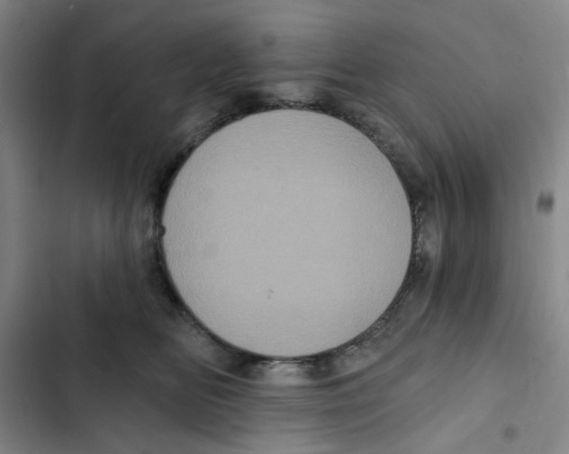 X0000102830518200809151043