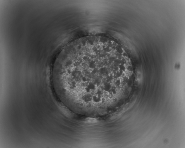 X0000102830519200809151043