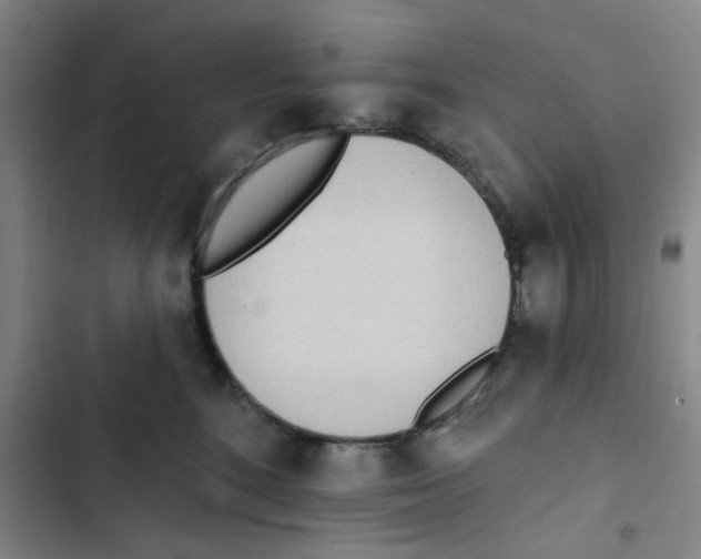 X0000102830520200809151043