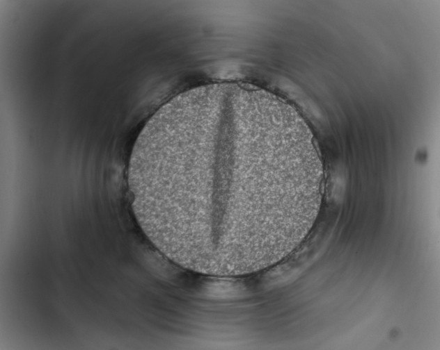 X0000102830521200809151043