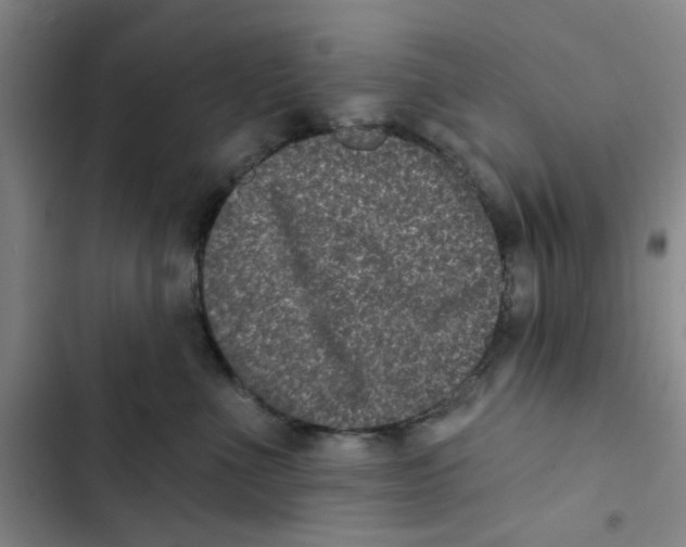 X0000102830523200809151043