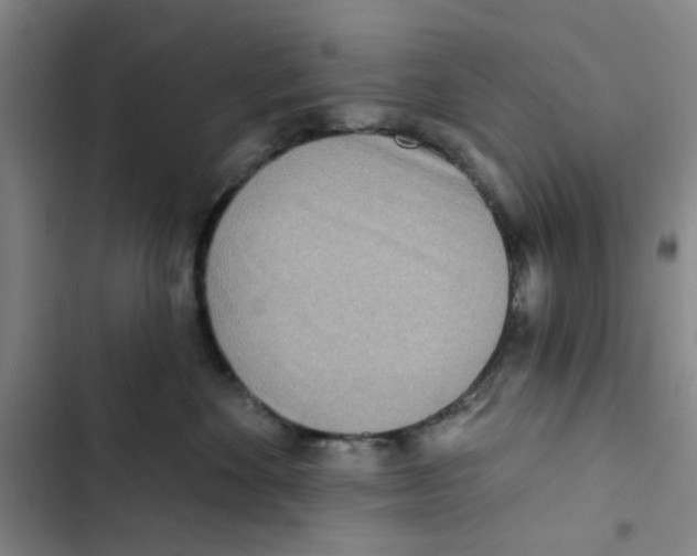 X0000102830524200809151043