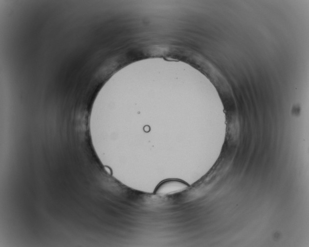 X0000102830525200809151042
