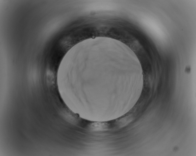 X0000102830526200809151042