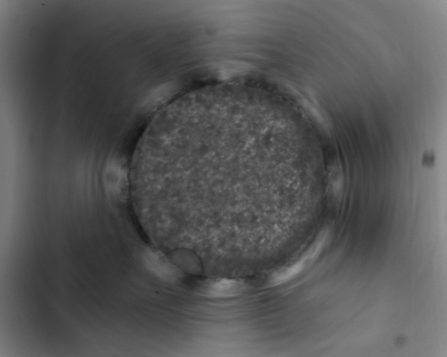 X0000102830527200809151042