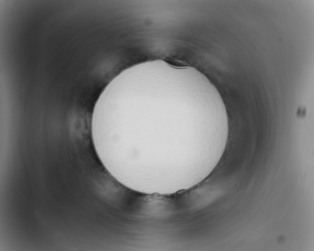 X0000102830528200809151042