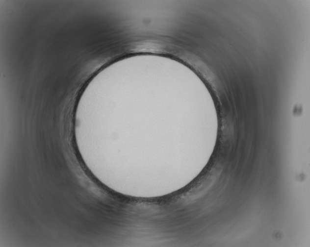 X0000102830529200809151042