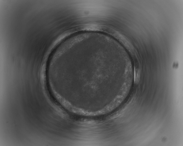 X0000102830531200809151042