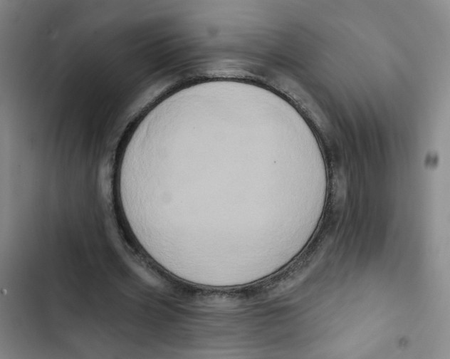 X0000102830533200809151042