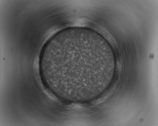 X0000102830534200809151042