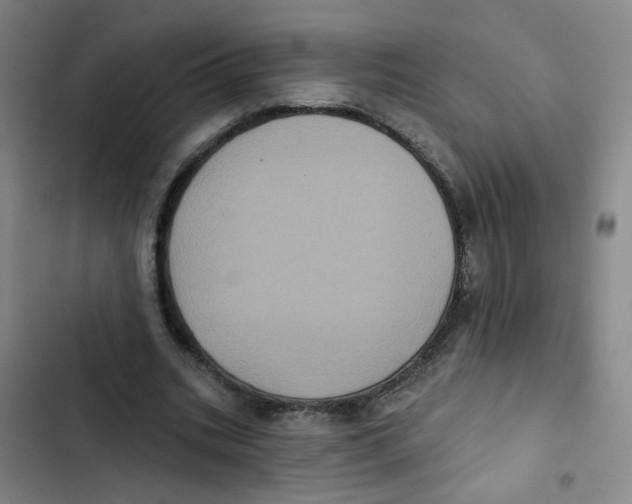 X0000102830535200809151042