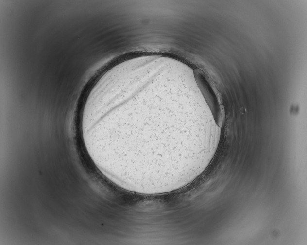 X0000102830536200809151042