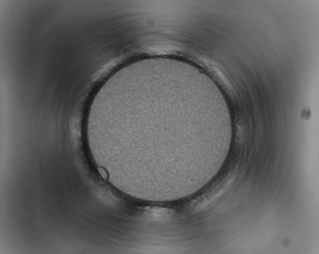 X0000102830539200809151042