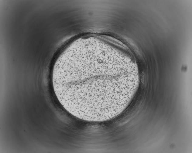 X0000102830540200809151042