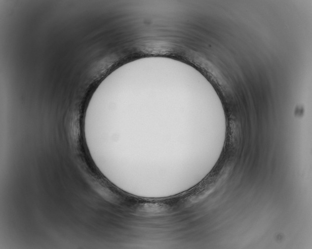 X0000102830541200809151042
