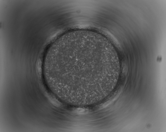 X0000102830542200809151042