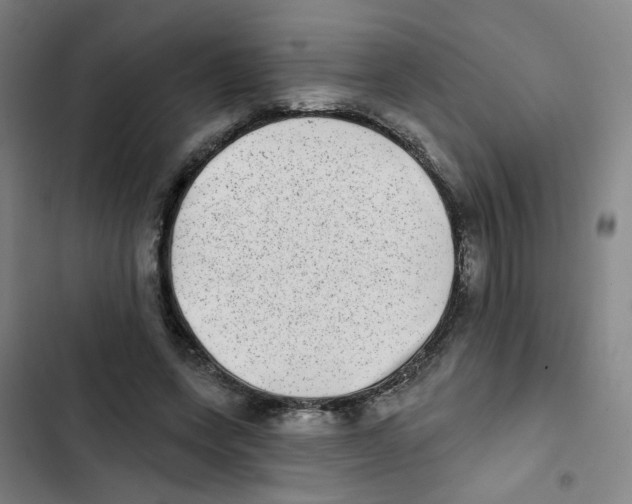 X0000102830543200809151042