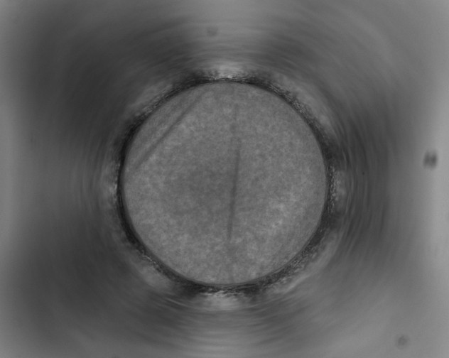 X0000102830545200809151042