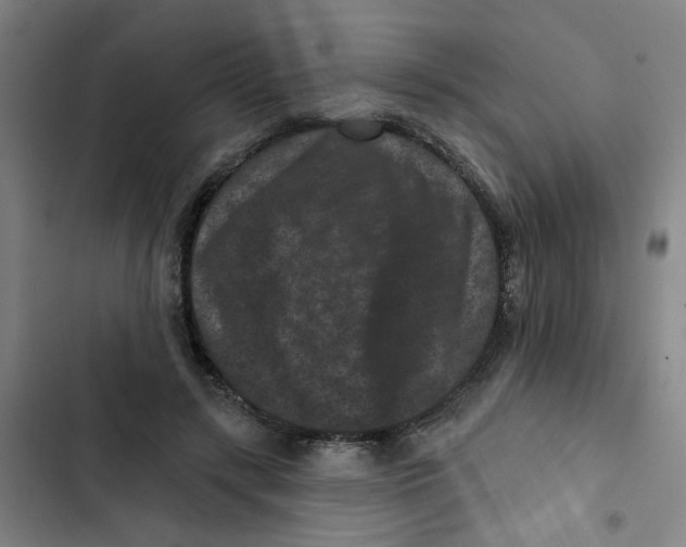 X0000102830547200809151042