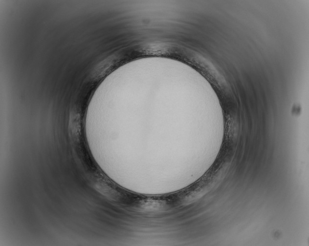 X0000102830549200809151042
