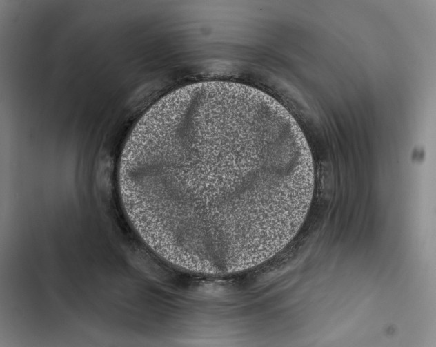 X0000102830550200809151042