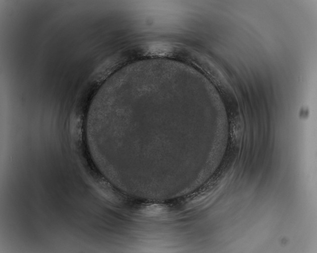 X0000102830551200809151042