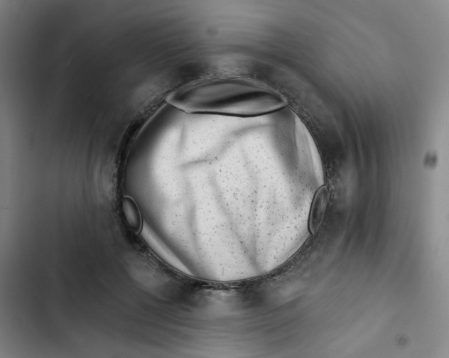X0000102830552200809151042