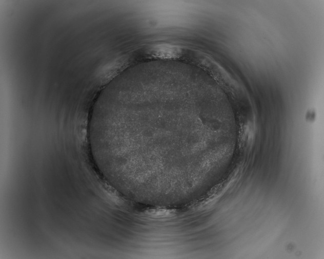 X0000102830553200809151042