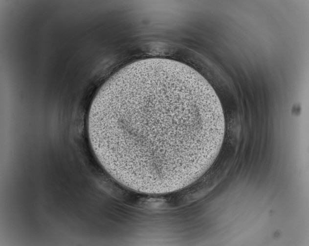 X0000102830554200809151042