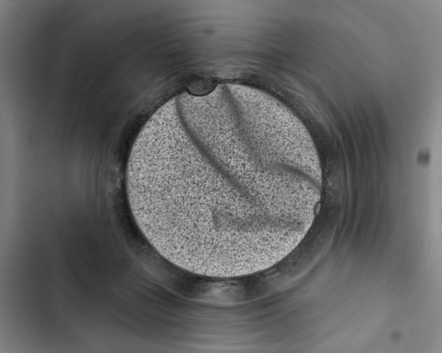 X0000102830555200809151042