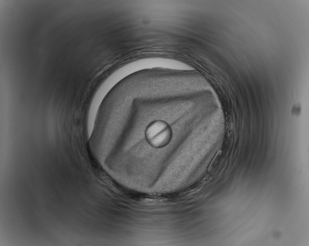 X0000102830556200809151042