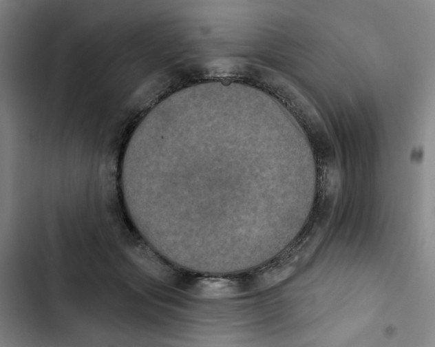 X0000102830557200809151042