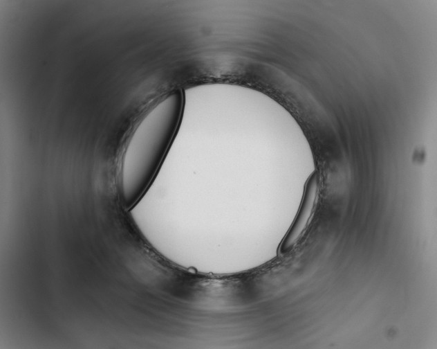 X0000102830558200809151042
