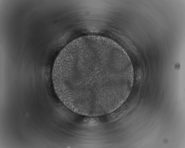 X0000102830559200809151042
