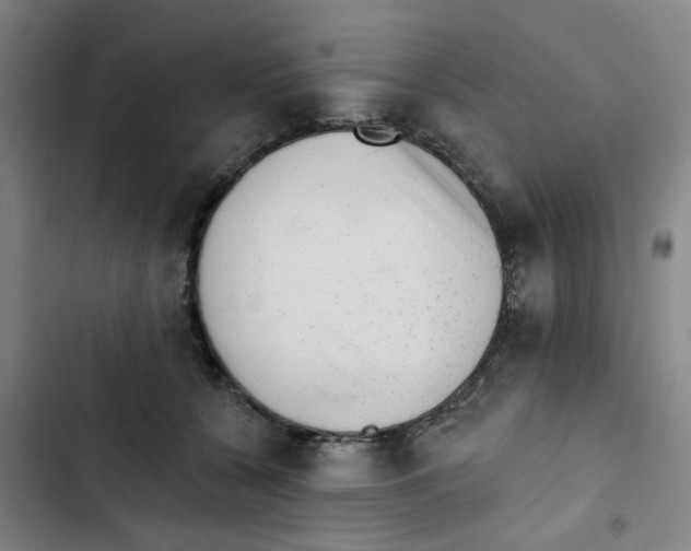 X0000102830560200809151042