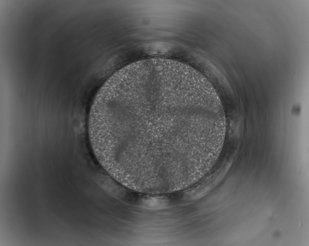 X0000102830561200809151042