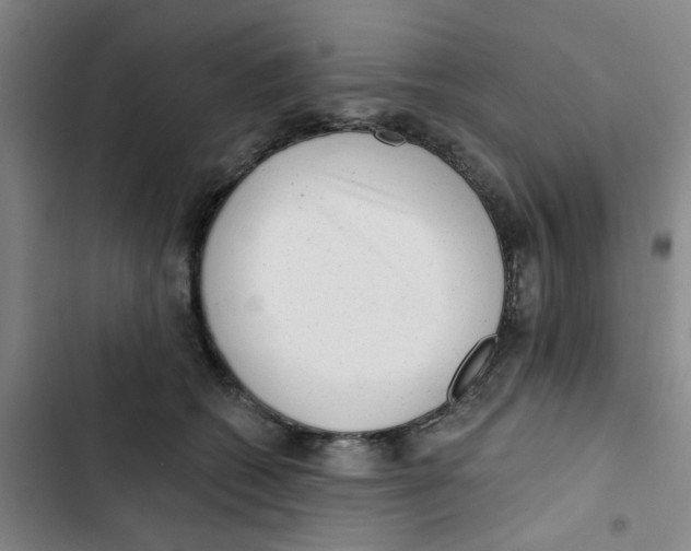 X0000102830562200809151042
