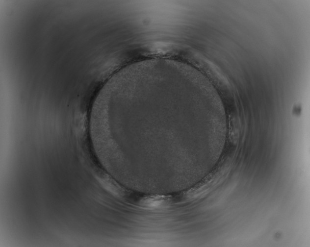 X0000102830563200809151042