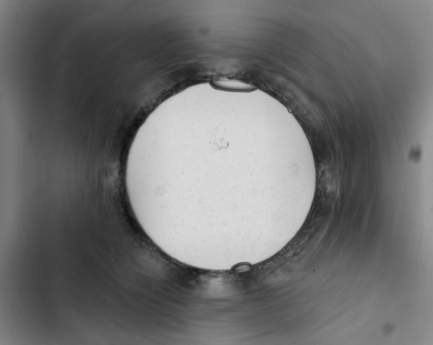 X0000102830564200809151042